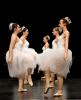 Gala de danse classique 14 ans à jeunes adultes 2026